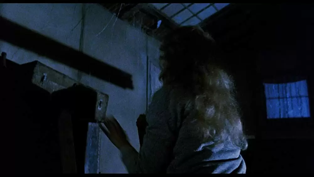 サランドラ IIの画像