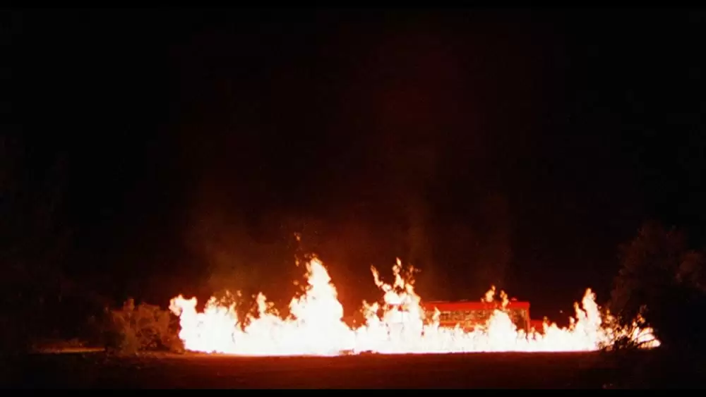 サランドラ IIの画像