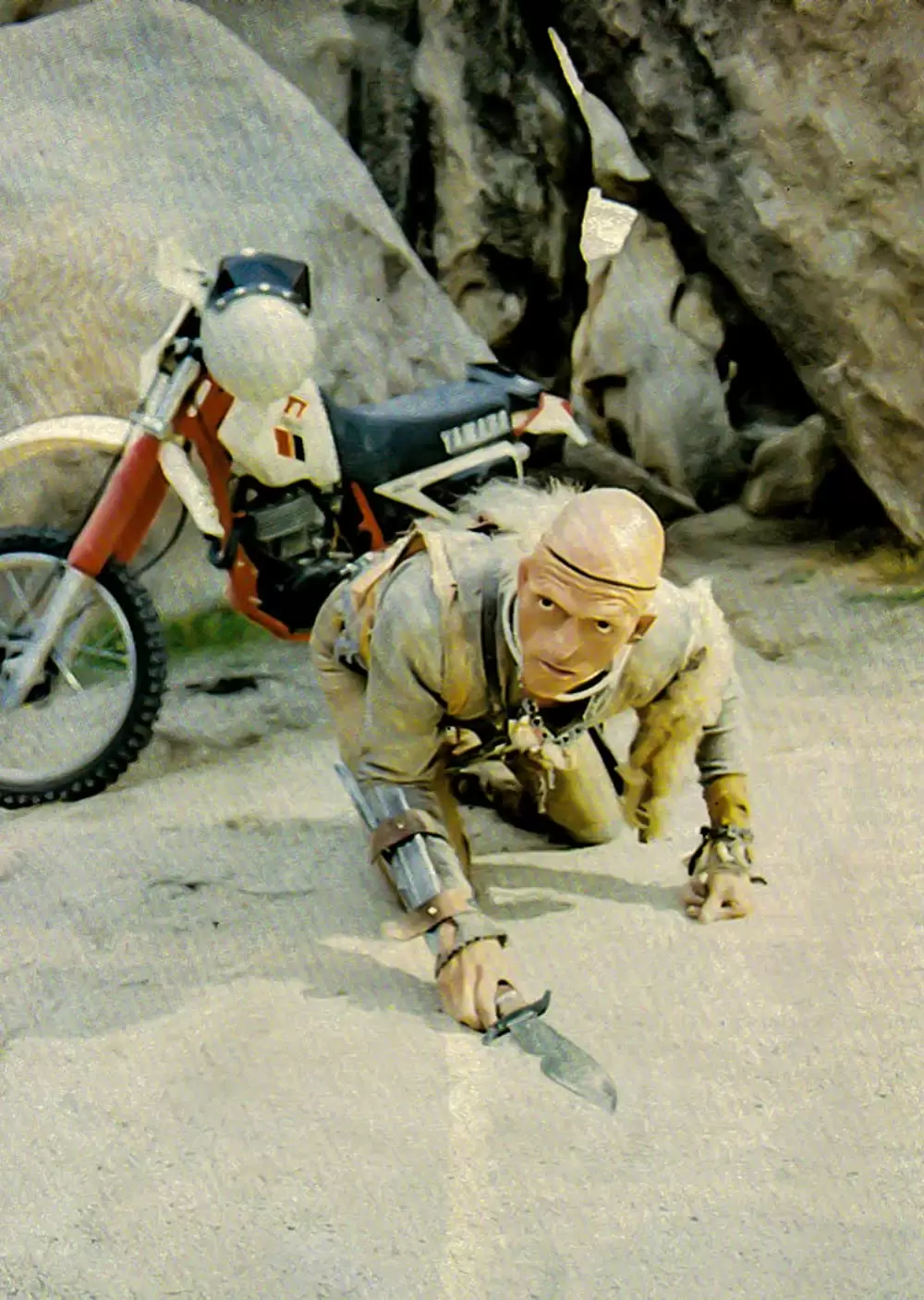 サランドラ IIの画像