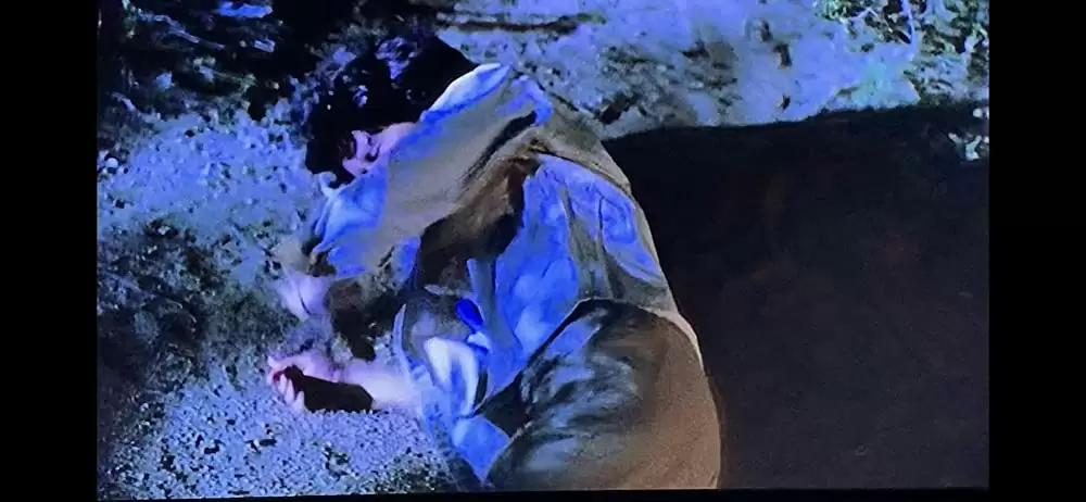 サランドラ IIの画像