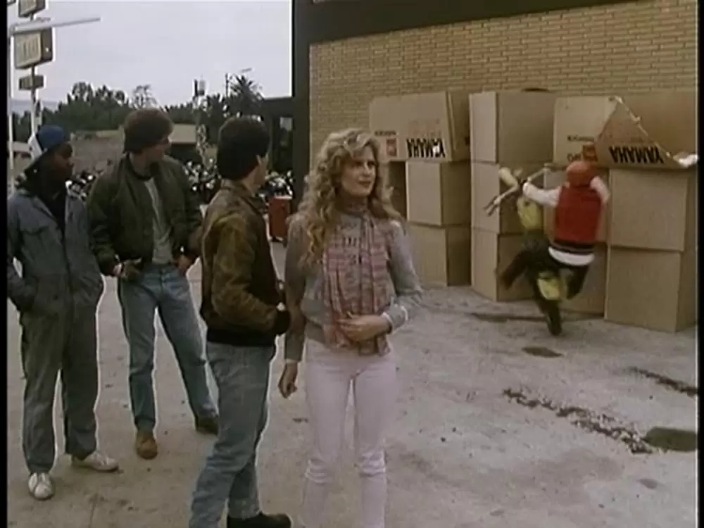 サランドラ IIの画像