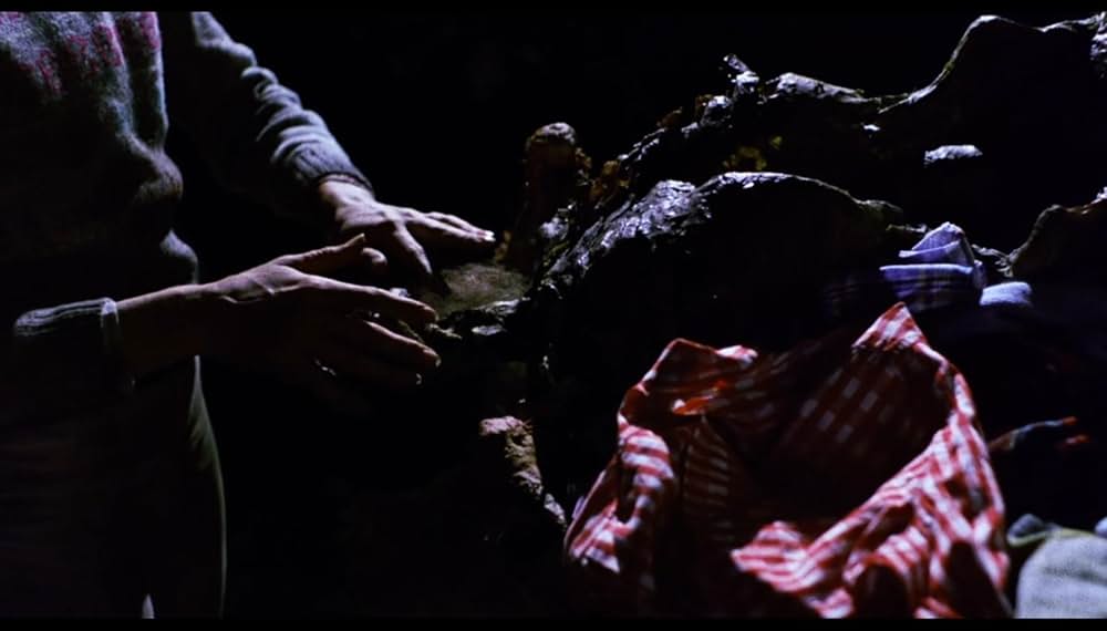 サランドラ IIの画像