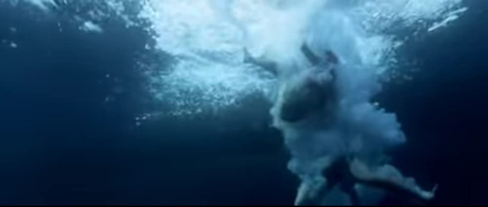 オープン・ウォーター2の画像