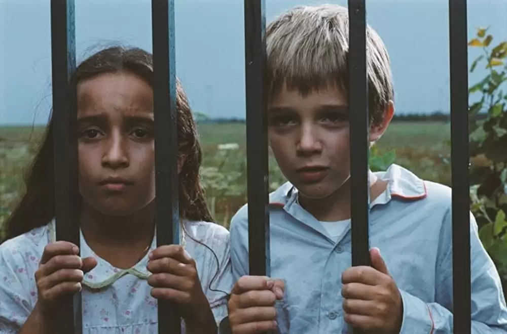 チャーリーとパパの飛行機の画像