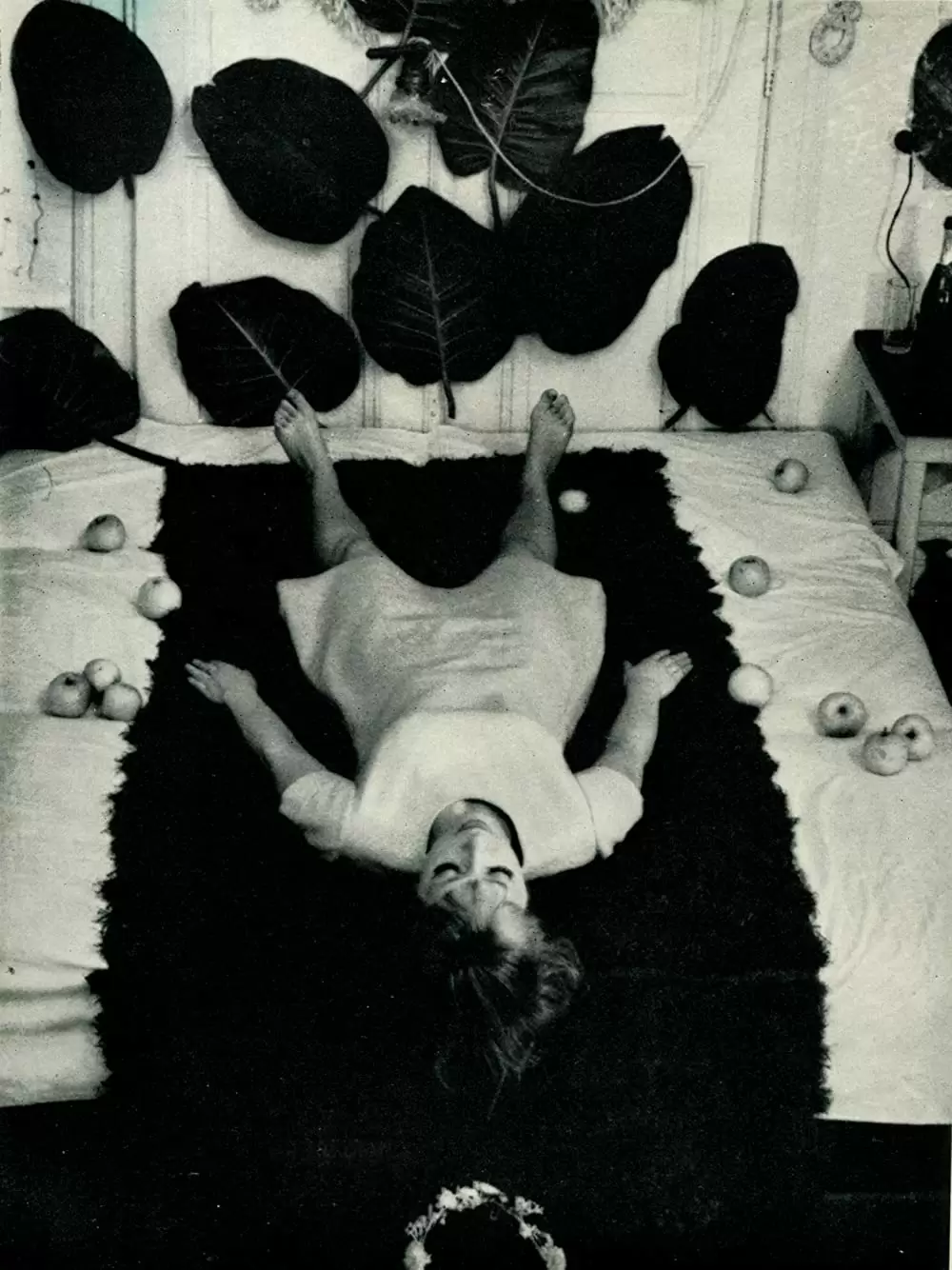 ひなぎくの画像