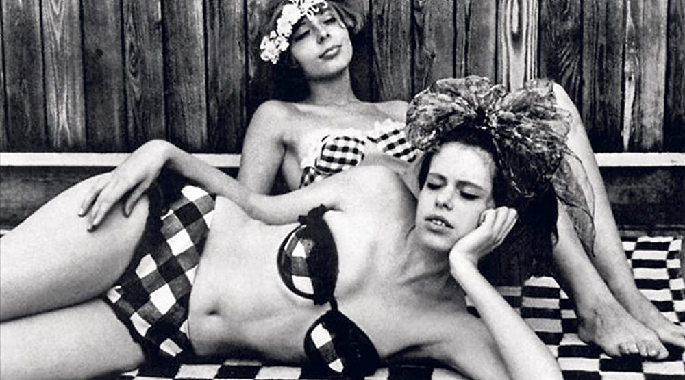 ひなぎくの画像