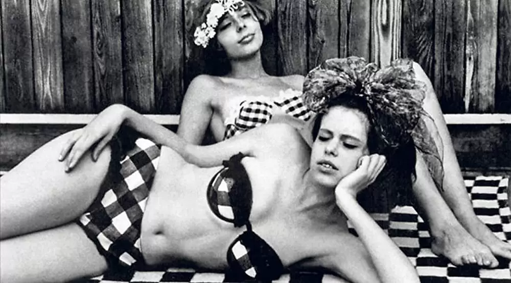 ひなぎくの画像