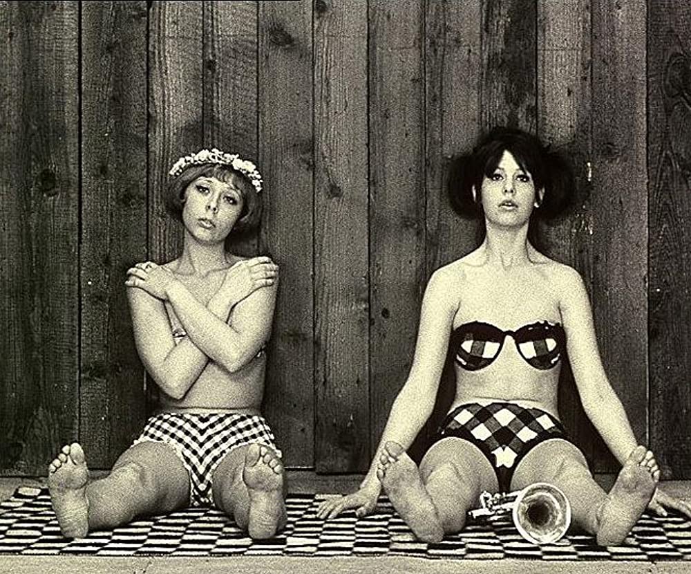 ひなぎくの画像