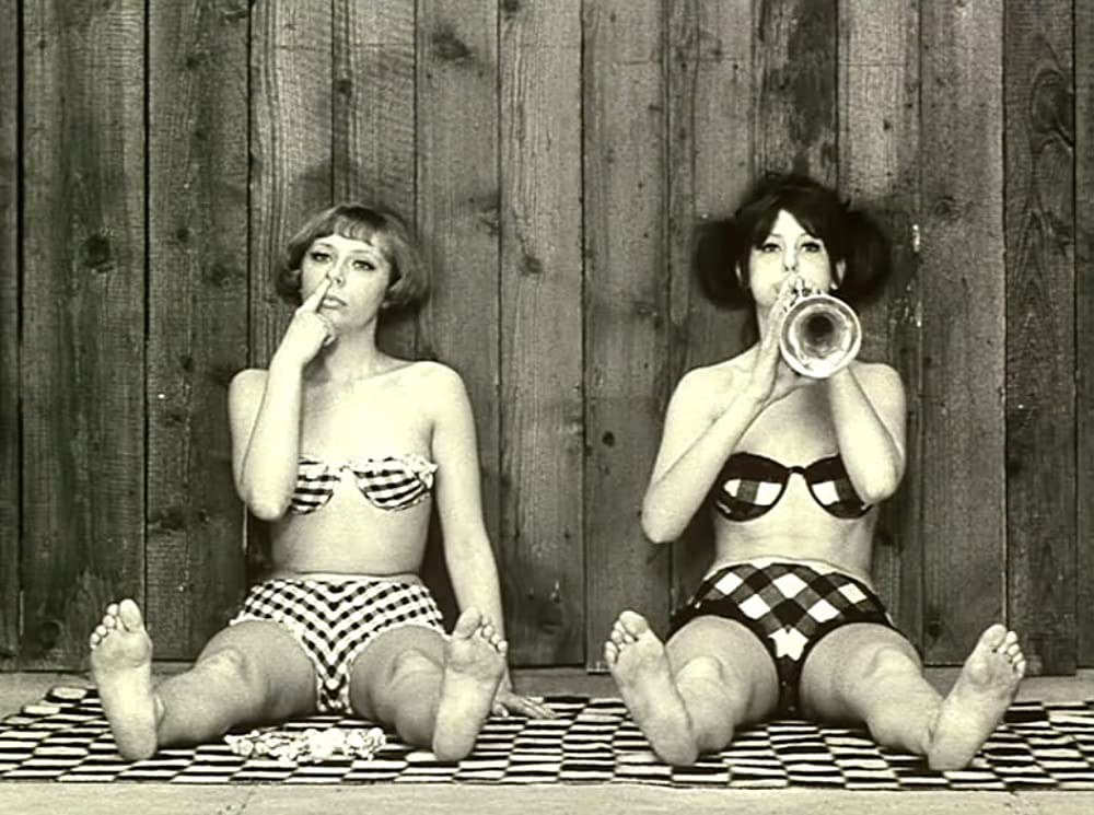 ひなぎくの画像