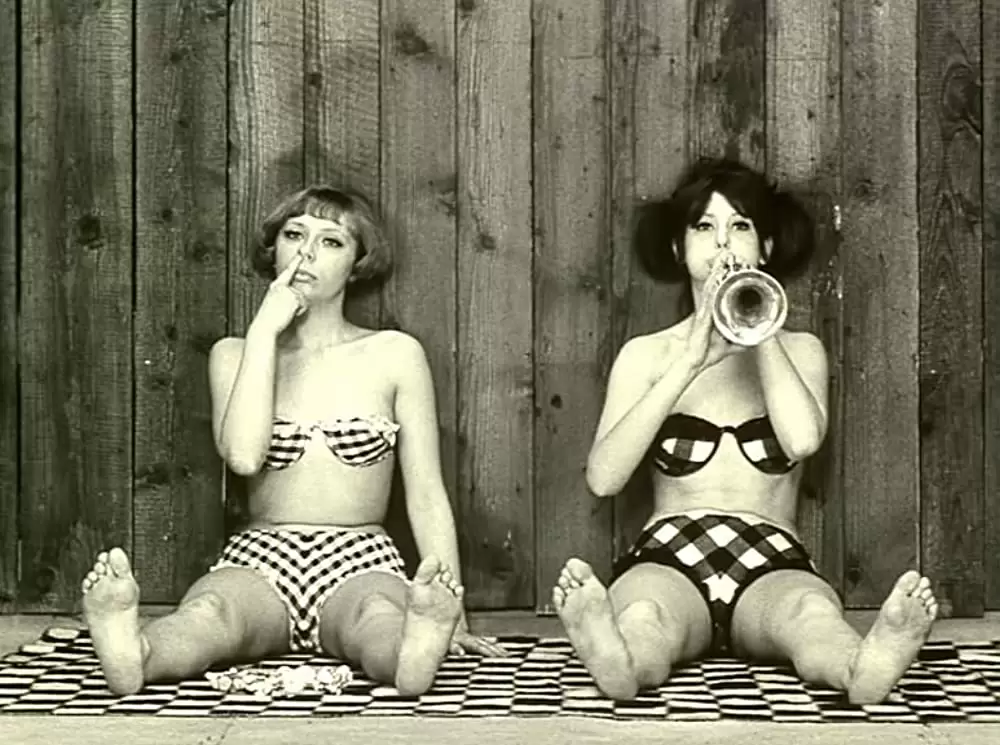 ひなぎくの画像