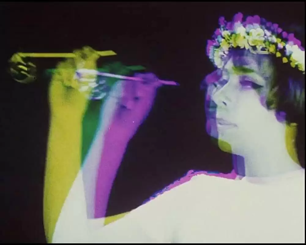 ひなぎくの画像