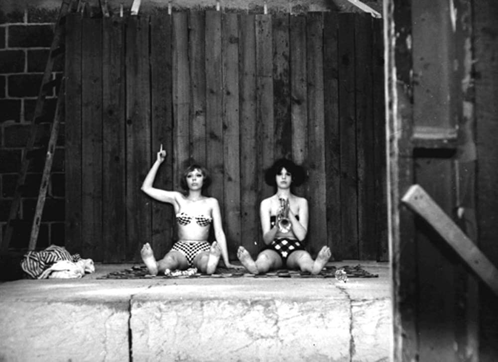 ひなぎくの画像