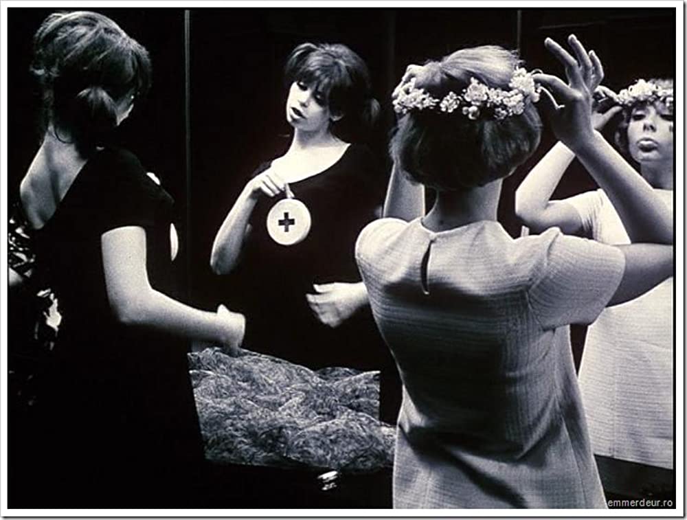 ひなぎくの画像