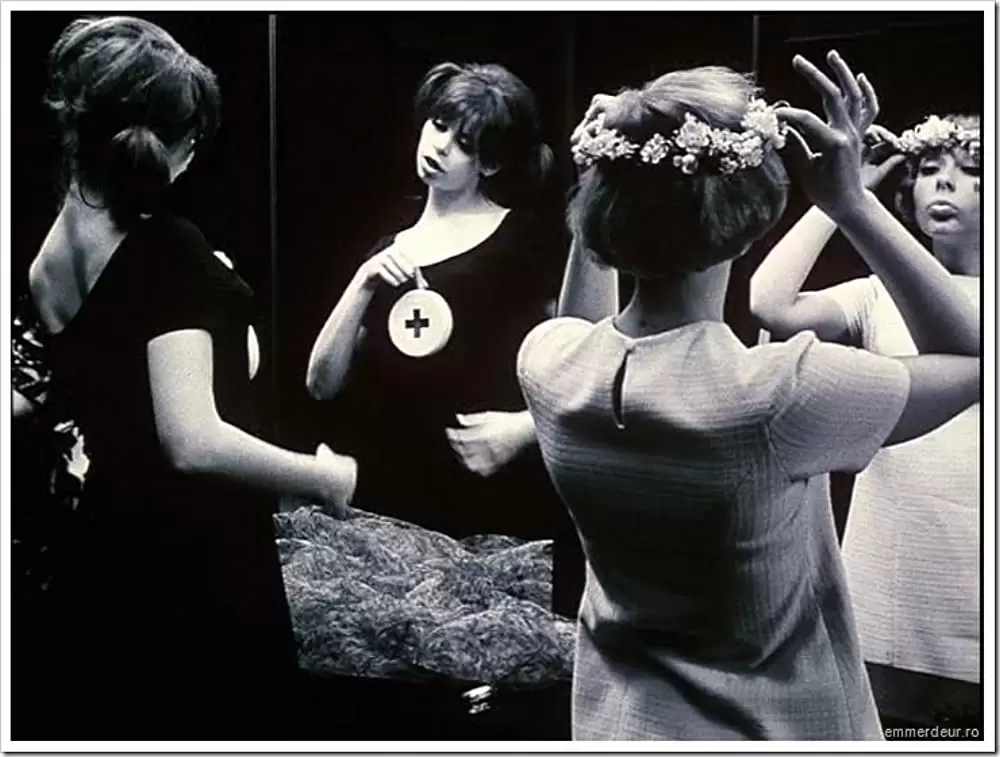 ひなぎくの画像