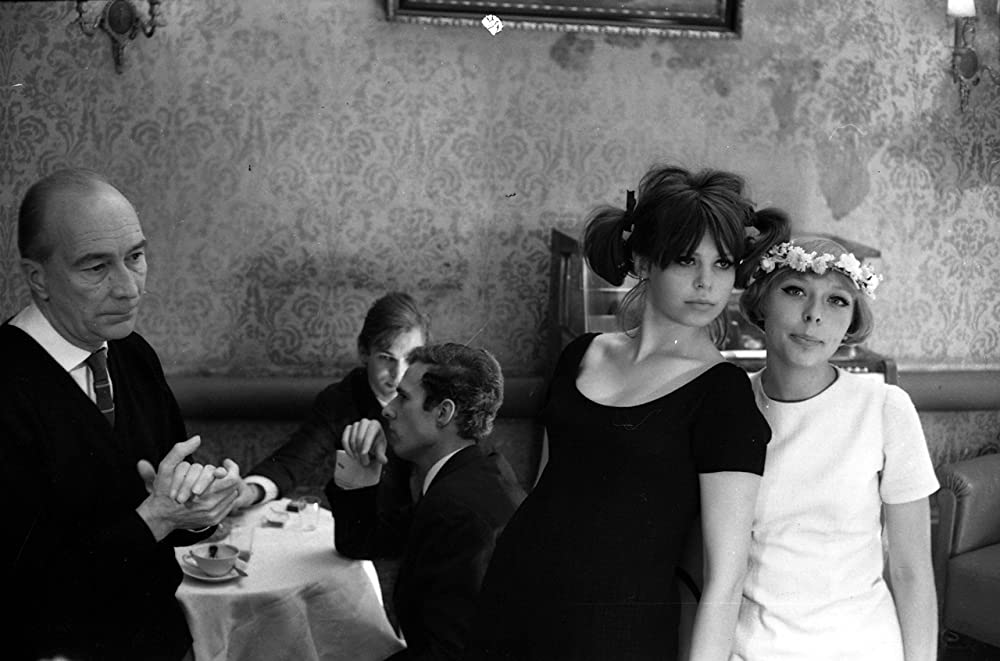 ひなぎくの画像