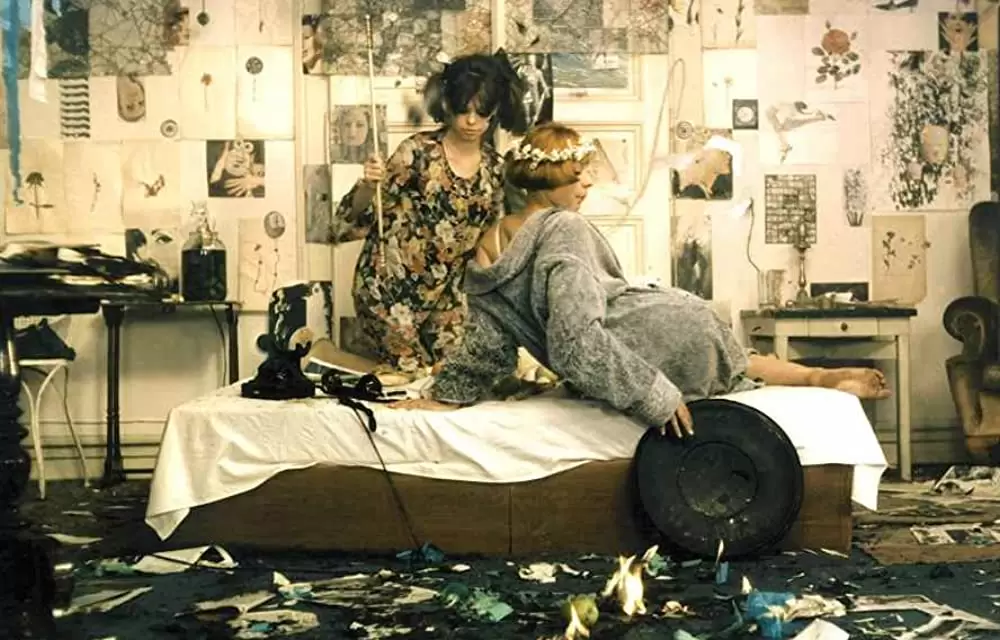 ひなぎくの画像