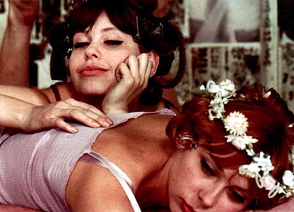 ひなぎくの画像