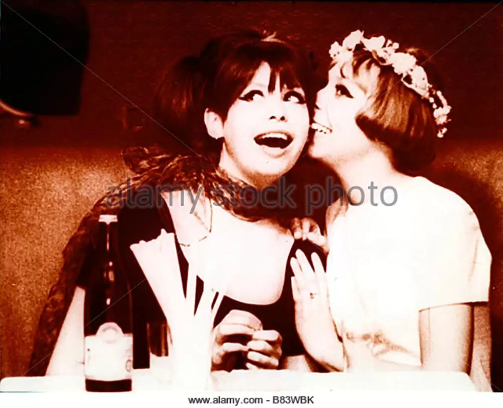 ひなぎくの画像