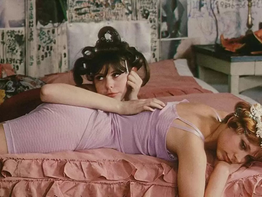 ひなぎくの画像