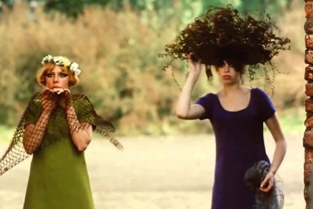 ひなぎくの画像