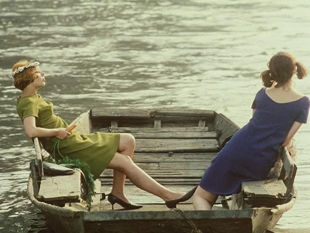 ひなぎくの画像