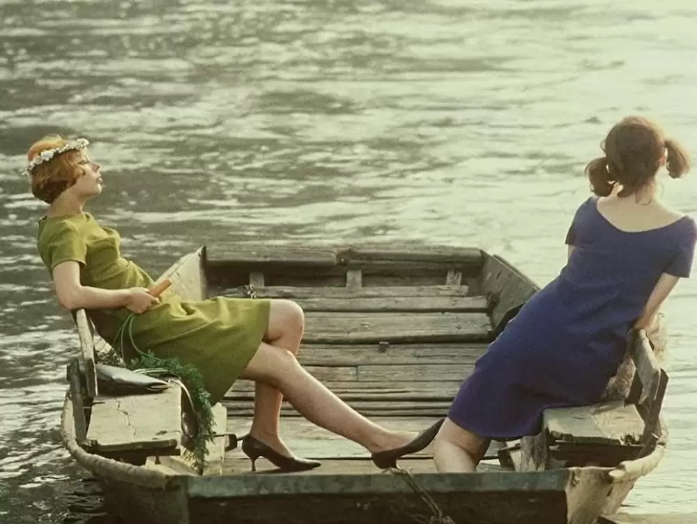 ひなぎくの画像