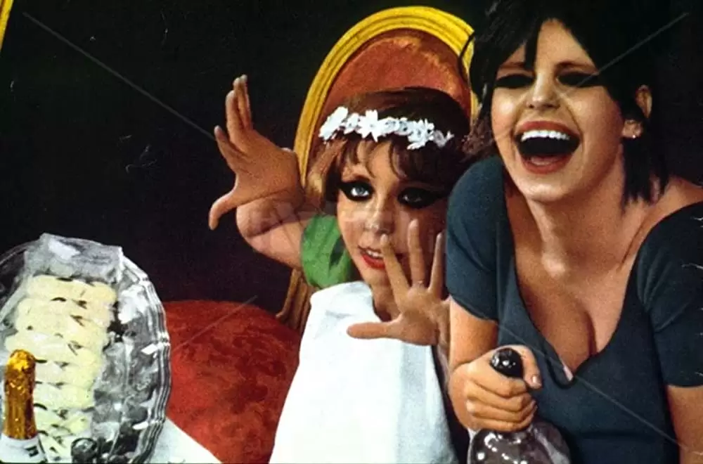 ひなぎくの画像