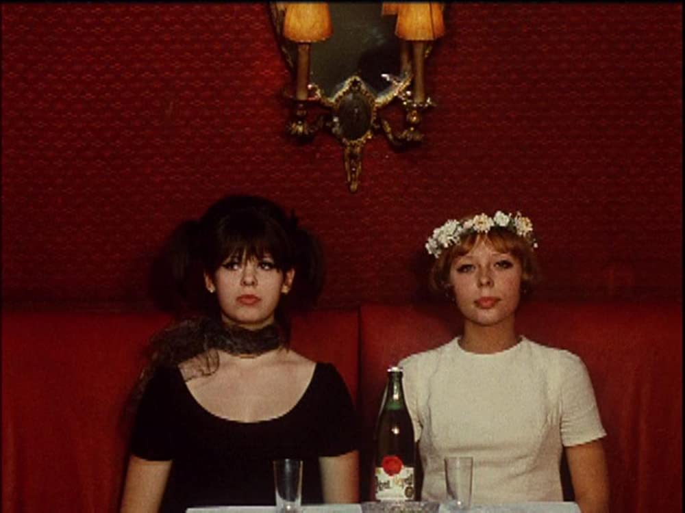 ひなぎくの画像