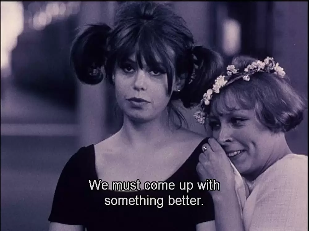 ひなぎくの画像