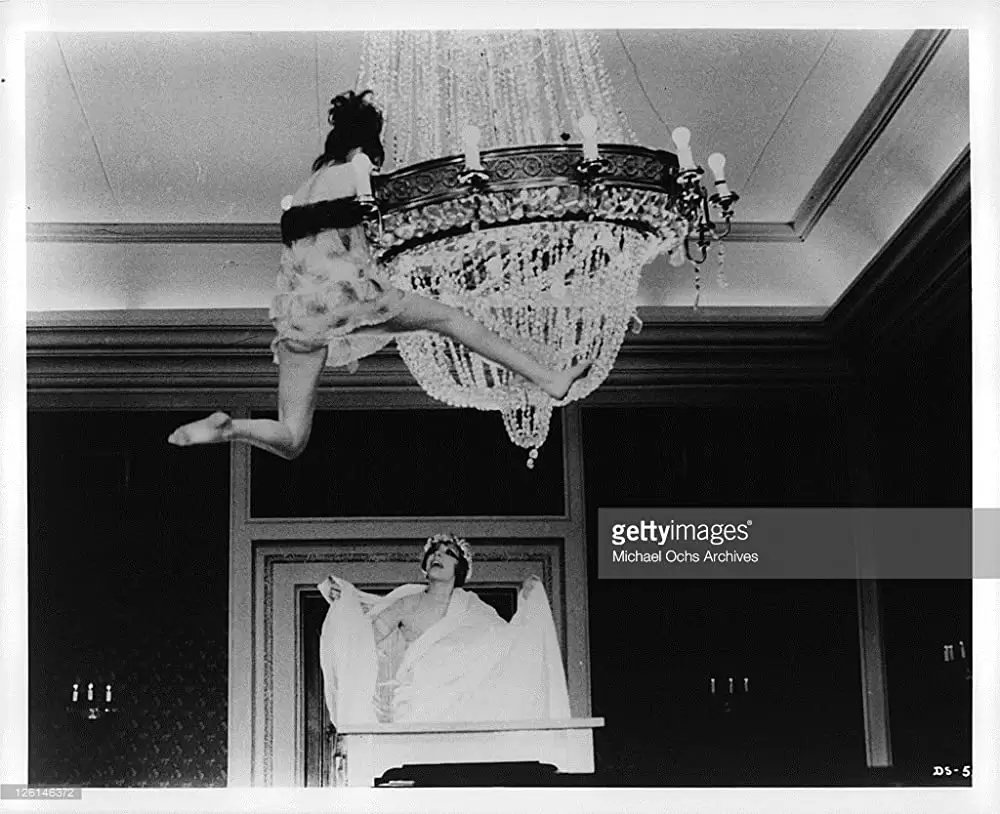 ひなぎくの画像