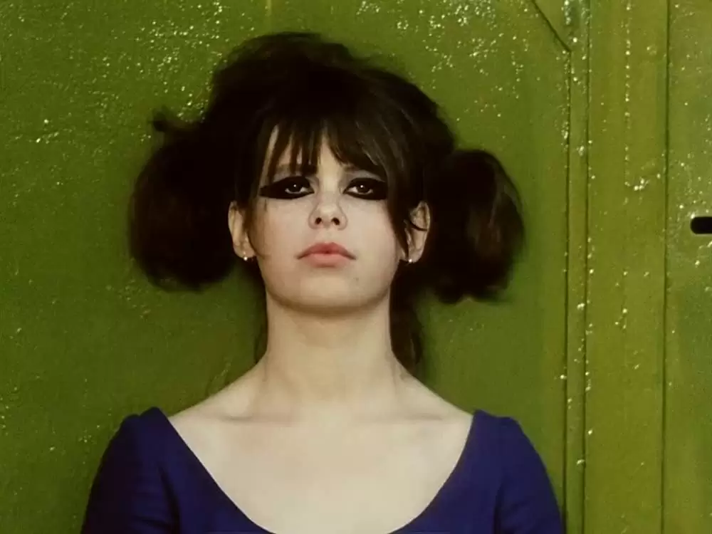 ひなぎくの画像