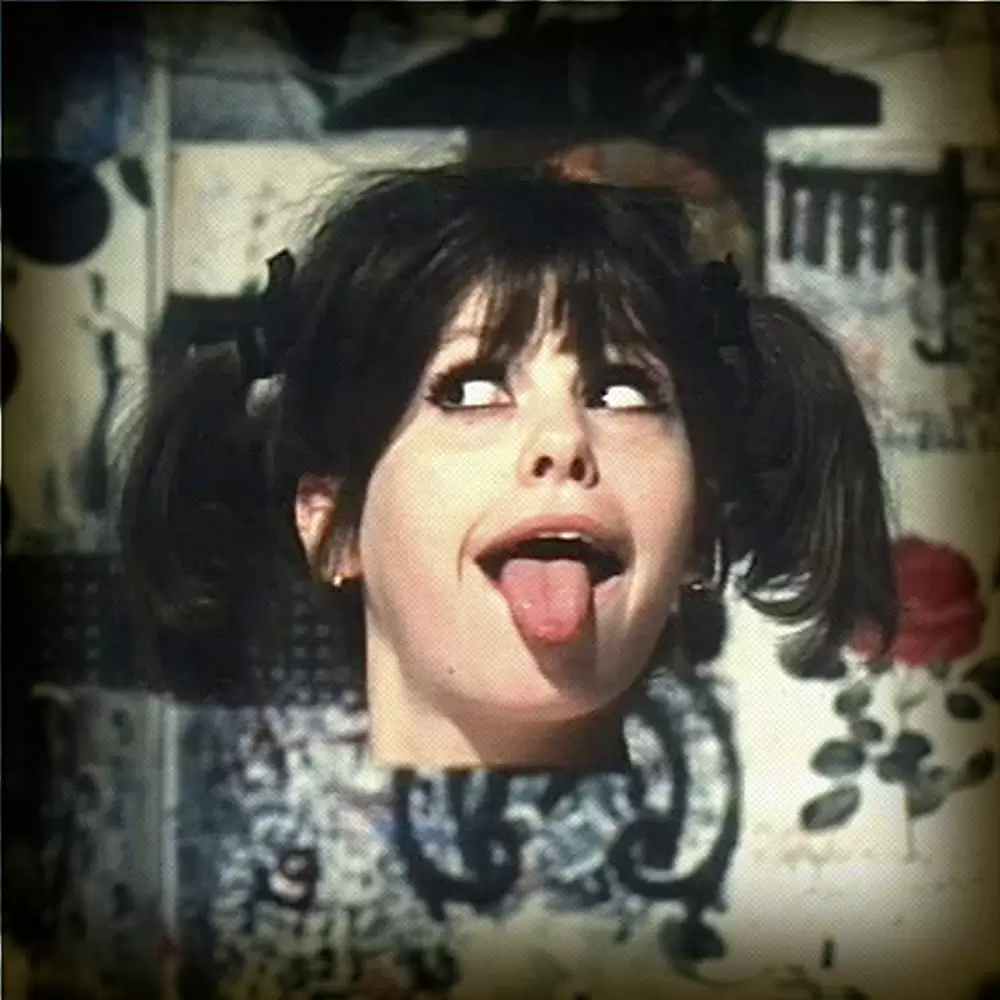 ひなぎくの画像