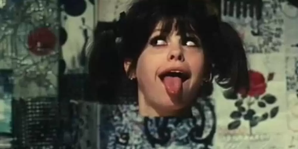 ひなぎくの画像