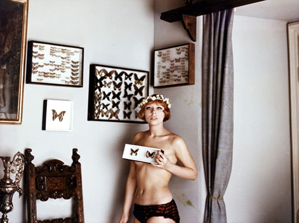 ひなぎくの画像