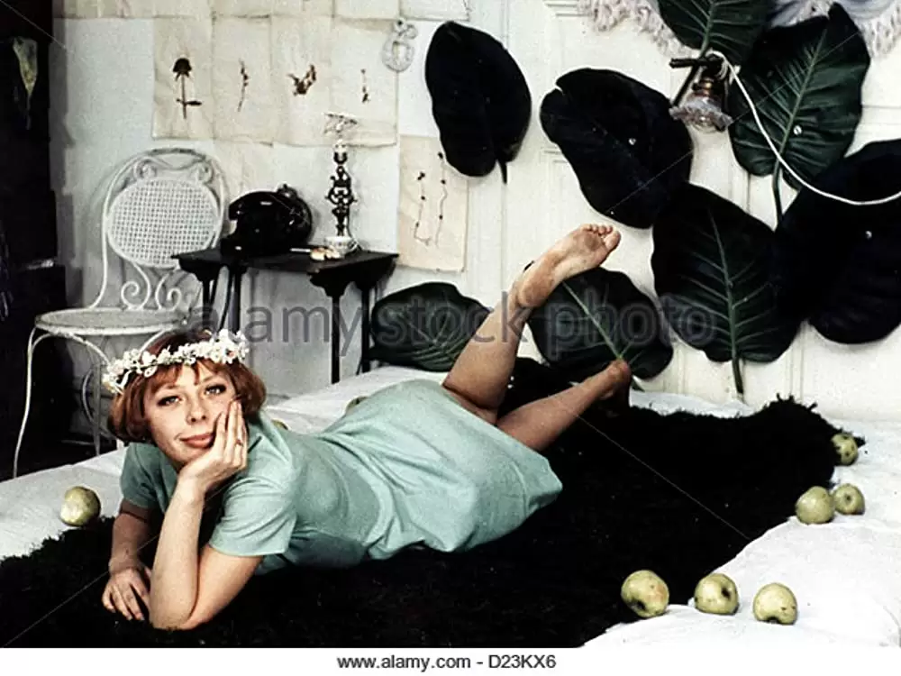 ひなぎくの画像