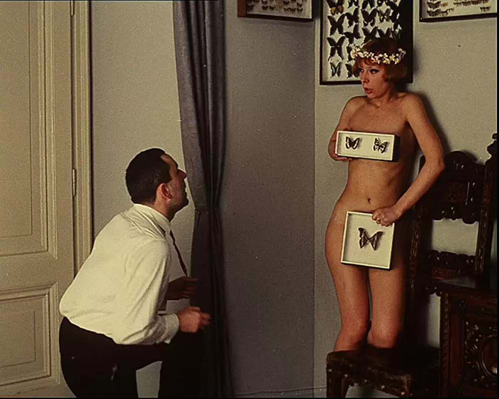 ひなぎくの画像