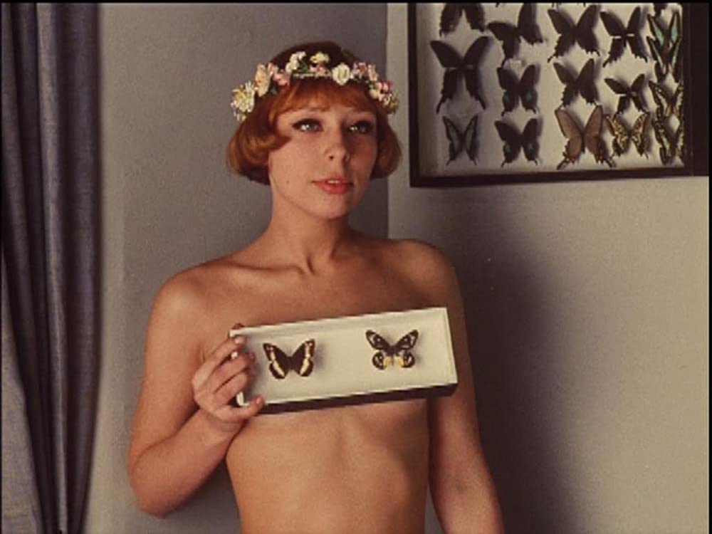 ひなぎくの画像