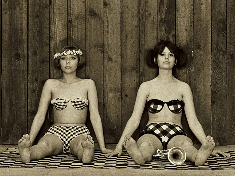 ひなぎくの画像