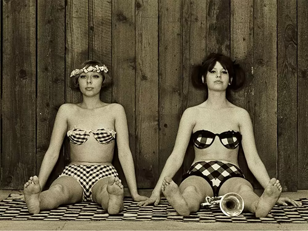 ひなぎくの画像