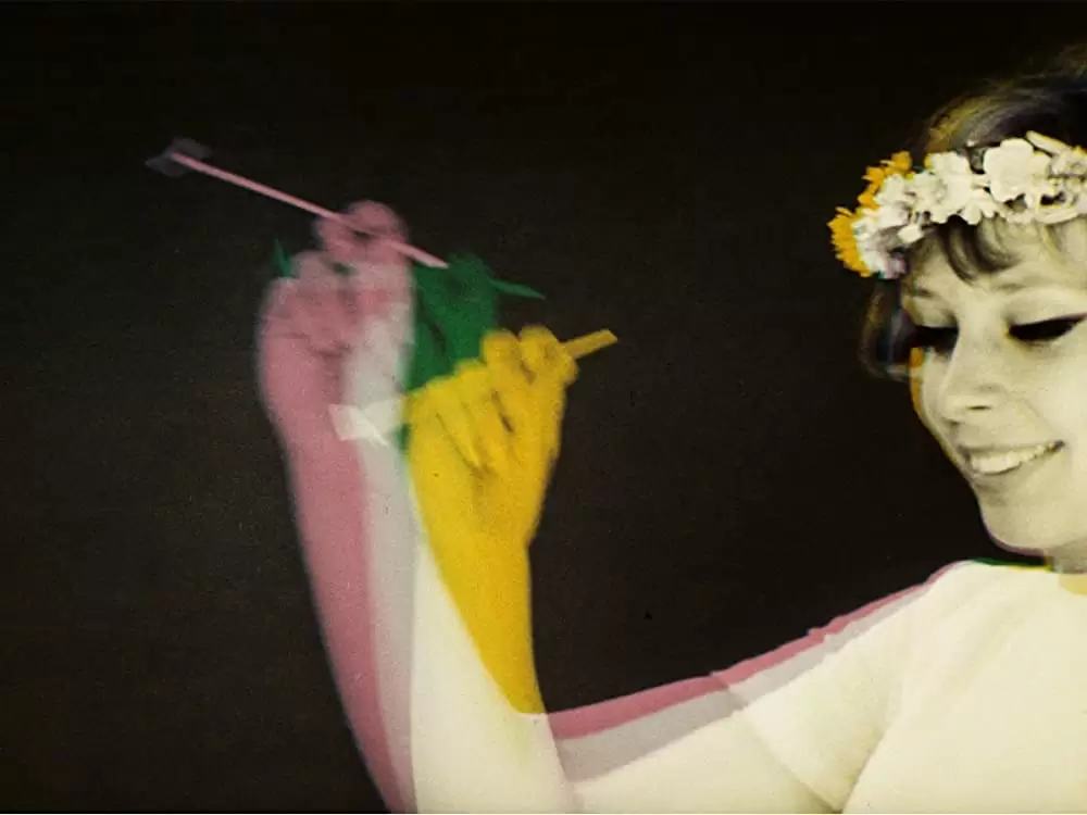 ひなぎくの画像