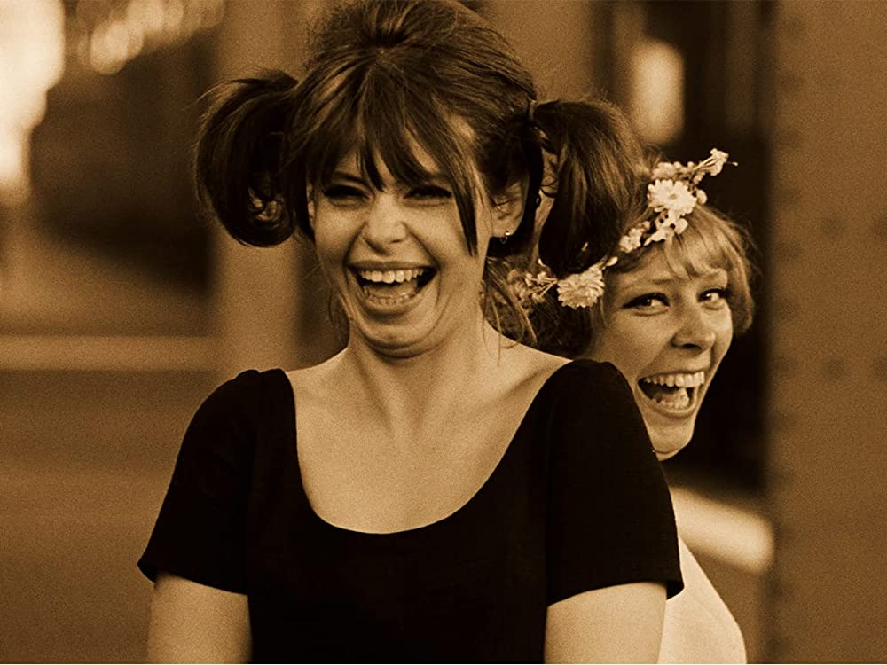 ひなぎくの画像