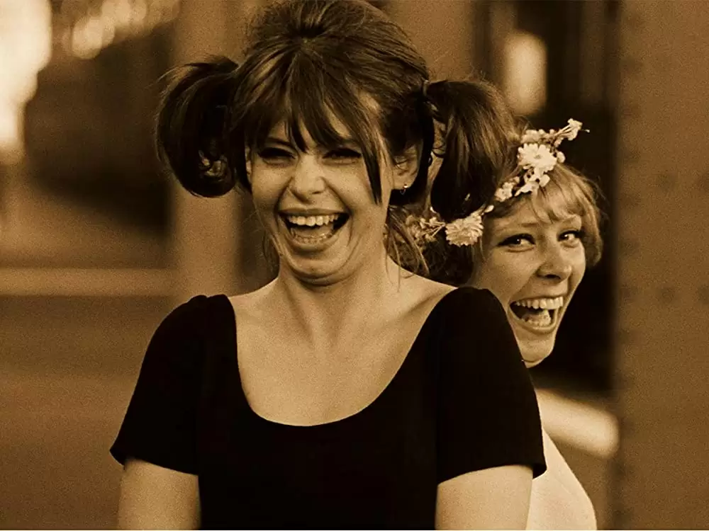 ひなぎくの画像