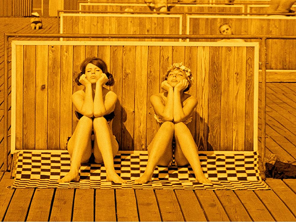 ひなぎくの画像