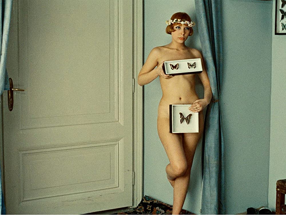 ひなぎくの画像