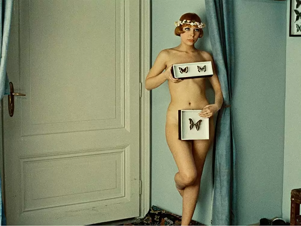 ひなぎくの画像