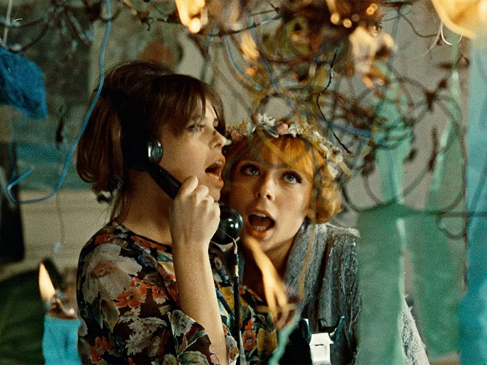 ひなぎくの画像