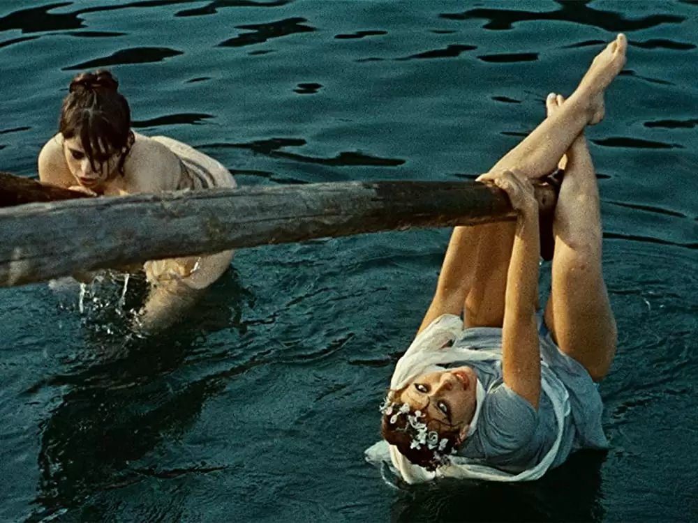 ひなぎくの画像