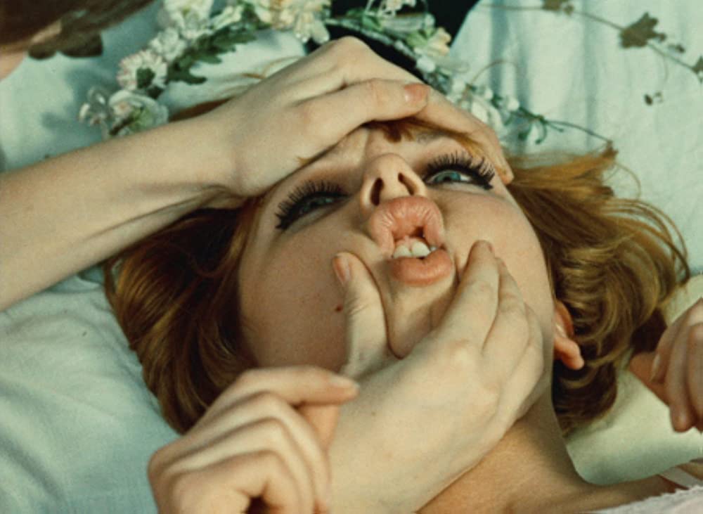 ひなぎくの画像