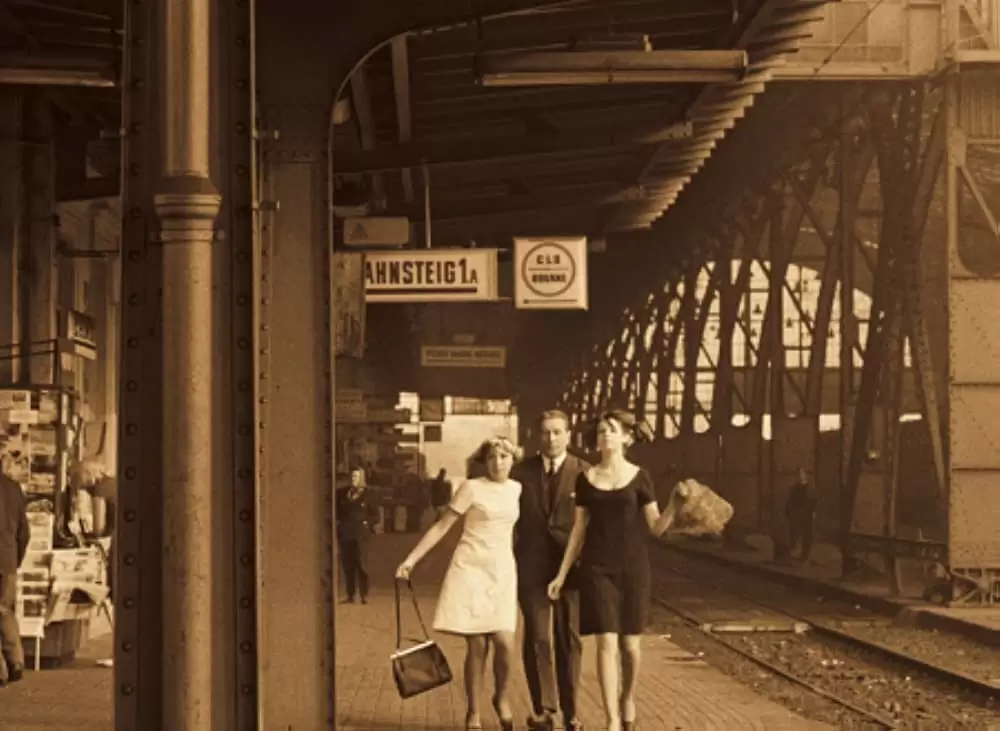 ひなぎくの画像