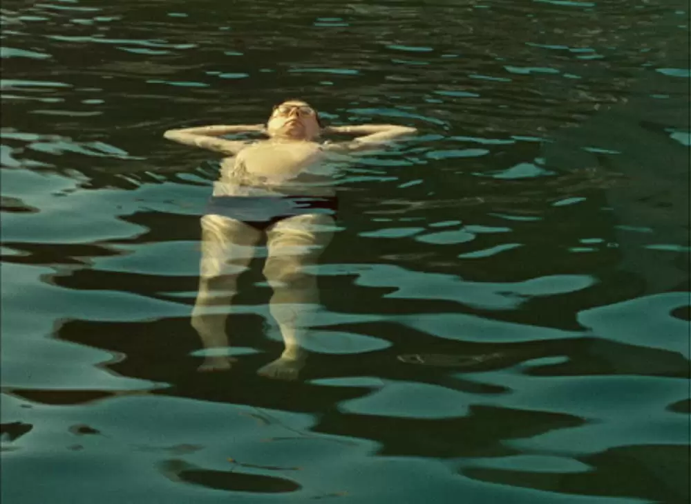 ひなぎくの画像